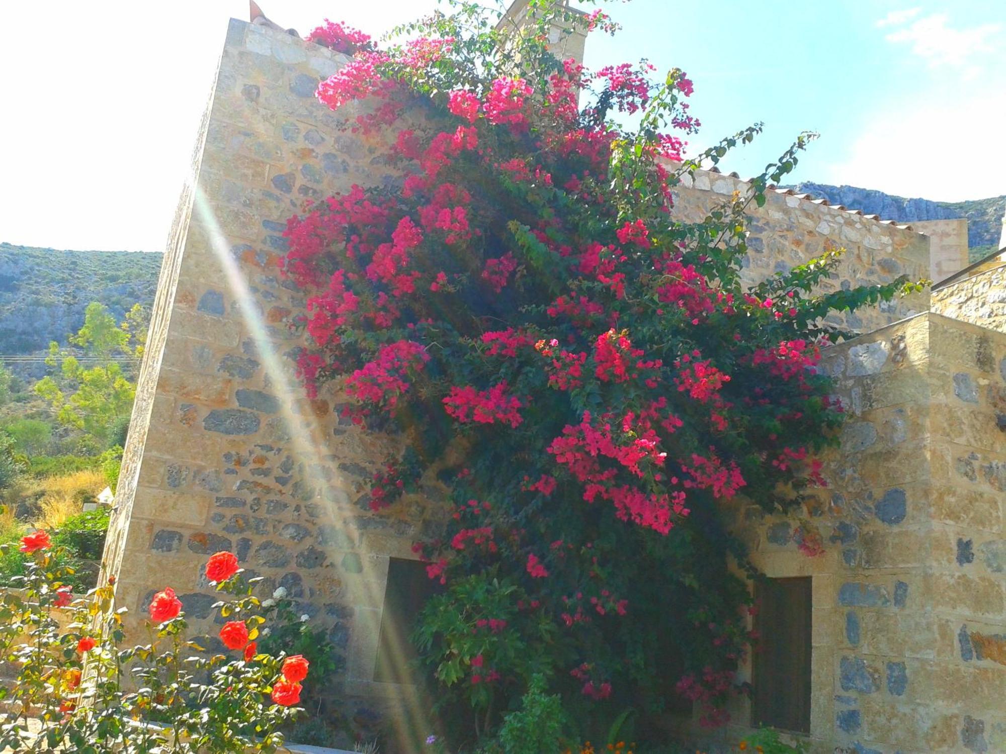 Lithochtisto Hotel Monemvasia Exterior photo